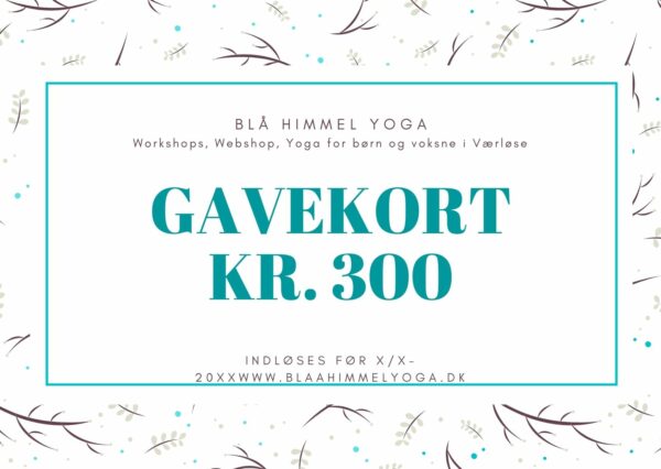 Gavekort på 300 kr.