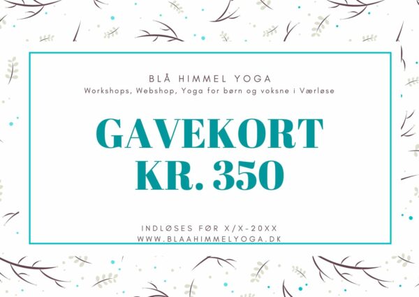 Gavekort på 350 kr.