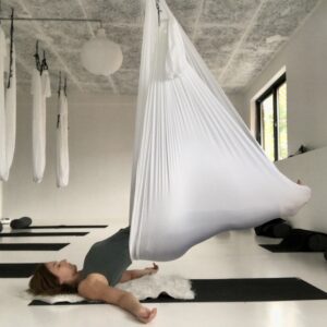 Aerial restorative yoga workshop